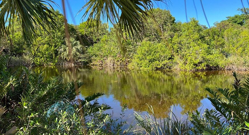 Key West Tropical Forest & Botanical Garden, United States